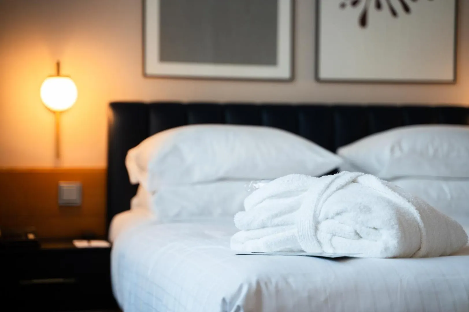 ****  K+K Hotel Fenix Prague République tchèque
